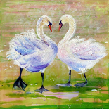 The First Dance by Anita Jazmin Sizmur.
Two Swans Meeting