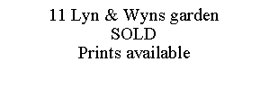 Text Box: 11 Lyn & Wyns gardenSOLDPrints available