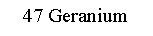 Text Box: 47 Geranium