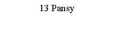 Text Box: 13 Pansy