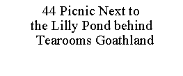 Text Box: 44 Picnic Next to the Lilly Pond behind      Tearooms Goathland