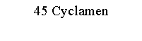 Text Box: 45 Cyclamen