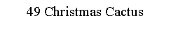 Text Box: 49 Christmas Cactus