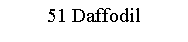 Text Box: 51 Daffodil