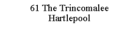 Text Box: 61 The TrincomaleeHartlepool