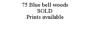 Text Box: 75 Blue bell woodsSOLDPrints available